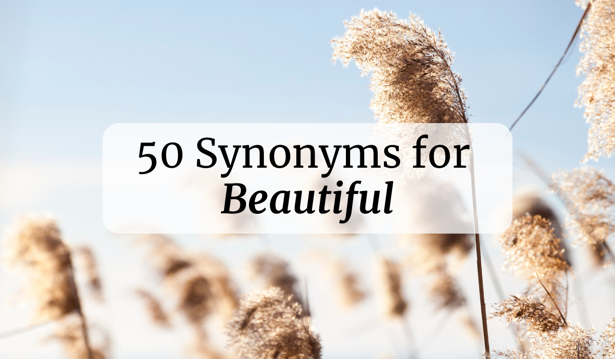 Synonyms for Beautiful